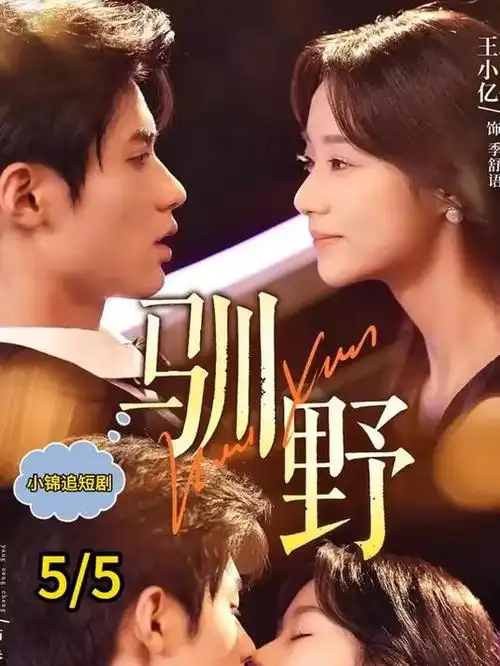 无声证词 免费电视剧在线观看